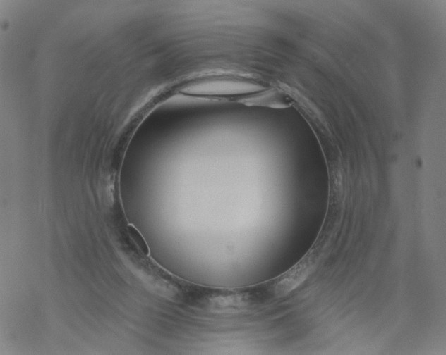 X0000068890160200605261854