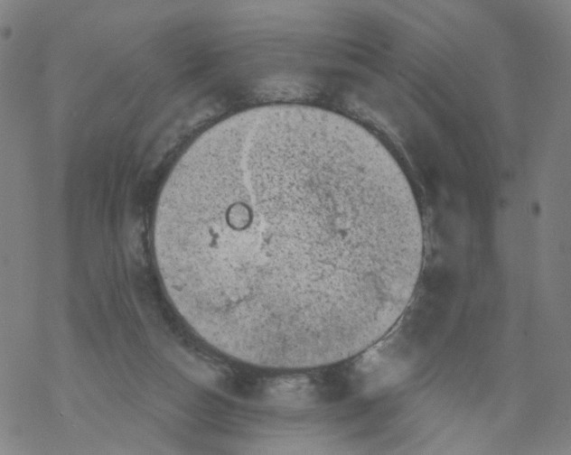 X0000068890162200605261854