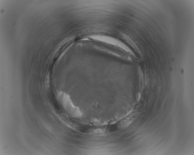 X0000068890163200605261854