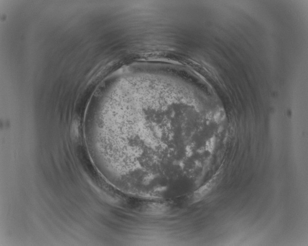 X0000068890166200605261855