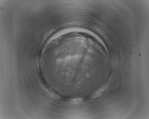 X0000068890168200605261855