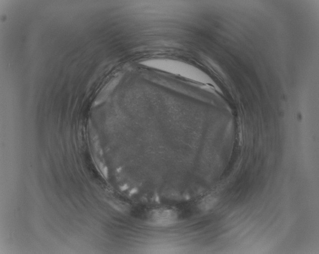 X0000068890169200605261855