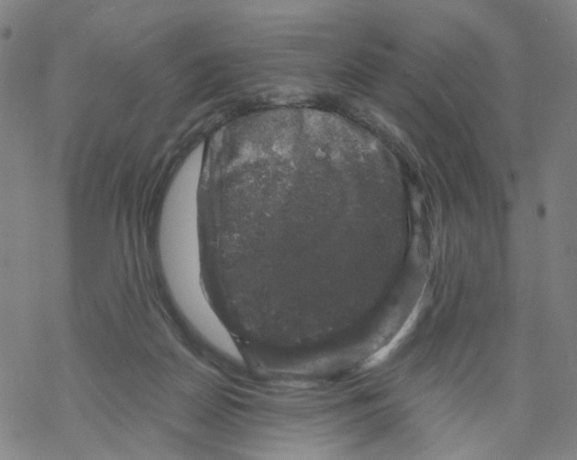 X0000068890170200605261855