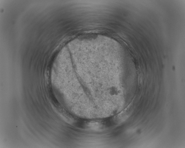 X0000068890171200605261855