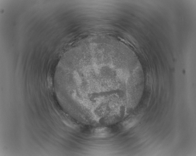 X0000068890173200605261855