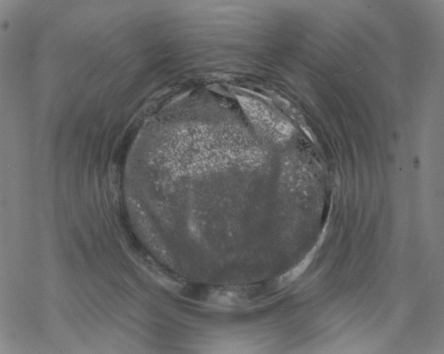 X0000068890174200605261855