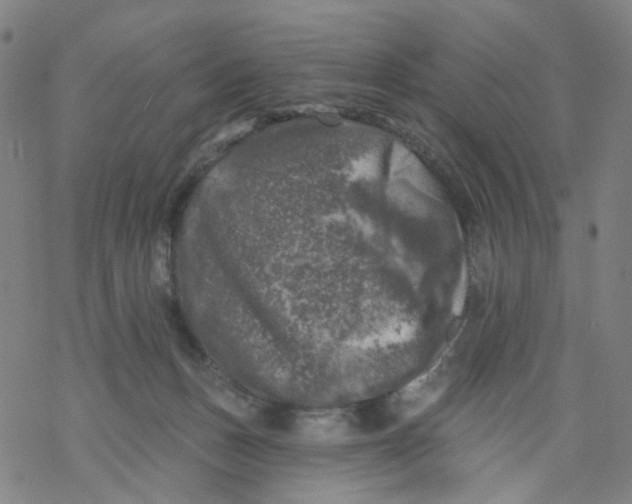 X0000068890175200605261855