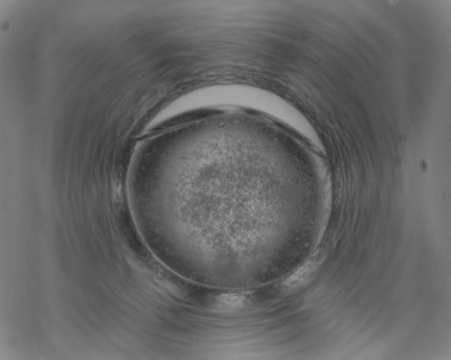 X0000068890176200605261855