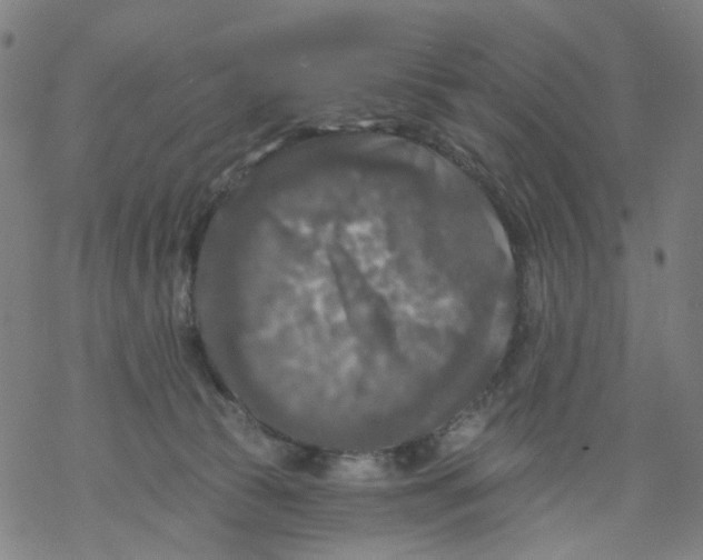 X0000068890177200605261855