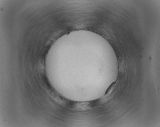 X0000068890179200605261855