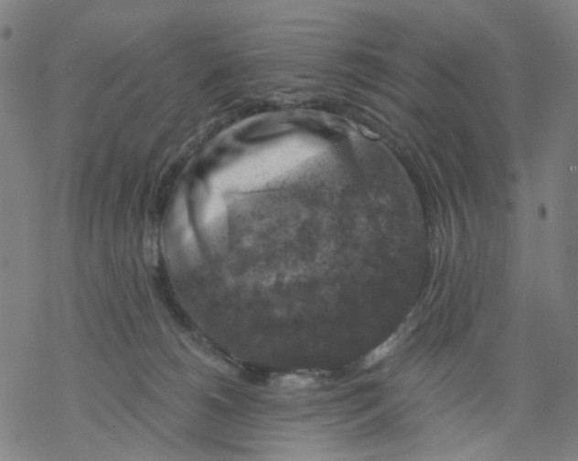 X0000068890180200605261855