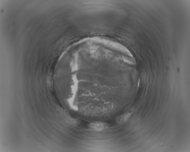 X0000068890181200605261855