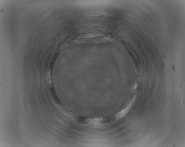 X0000068890182200605261855