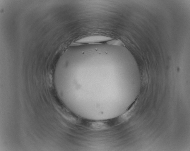 X0000068890183200605261855