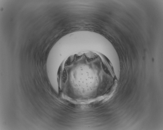 X0000068890184200605261855