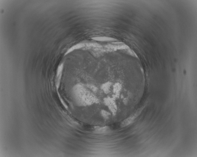 X0000068890185200605261855