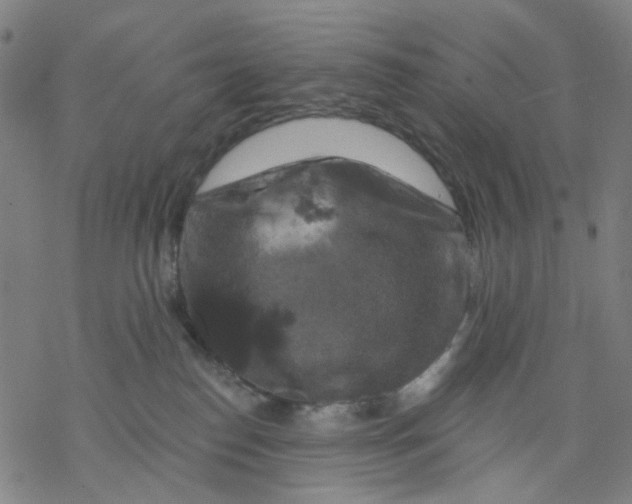 X0000068890186200605261855