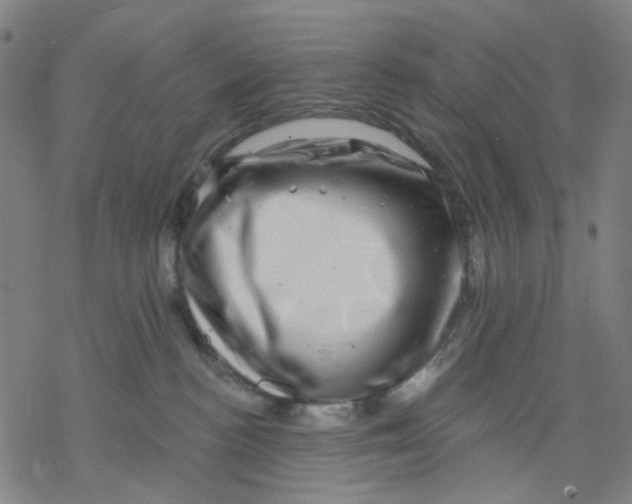 X0000068890188200605261855