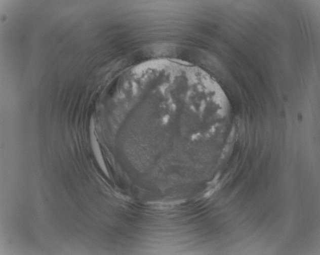 X0000068890189200605261855