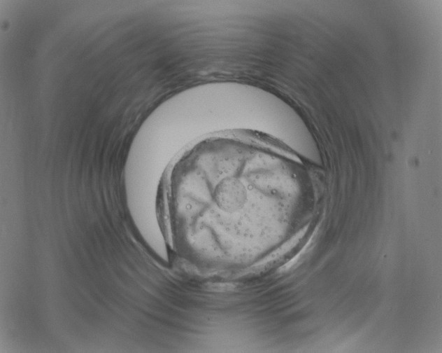 X0000068890192200605261855