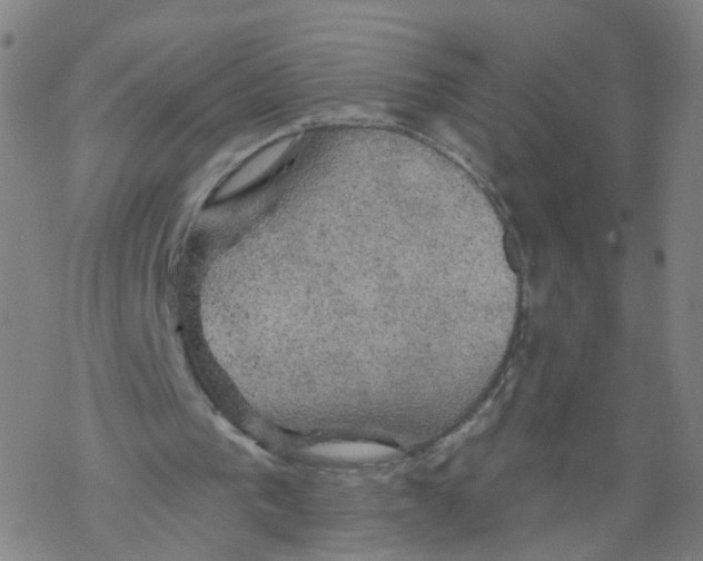 X0000068890193200605261854