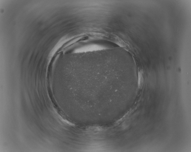 X0000068890195200605261854