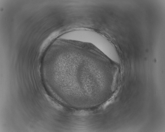 X0000068890197200605261854