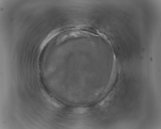 X0000068890198200605261854