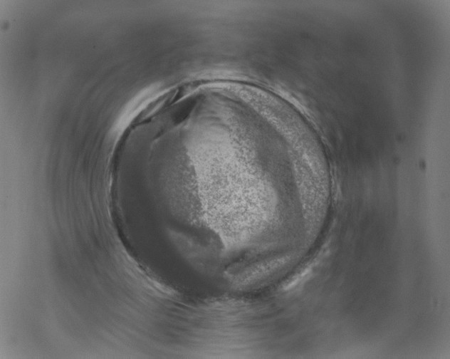 X0000068890199200605261854