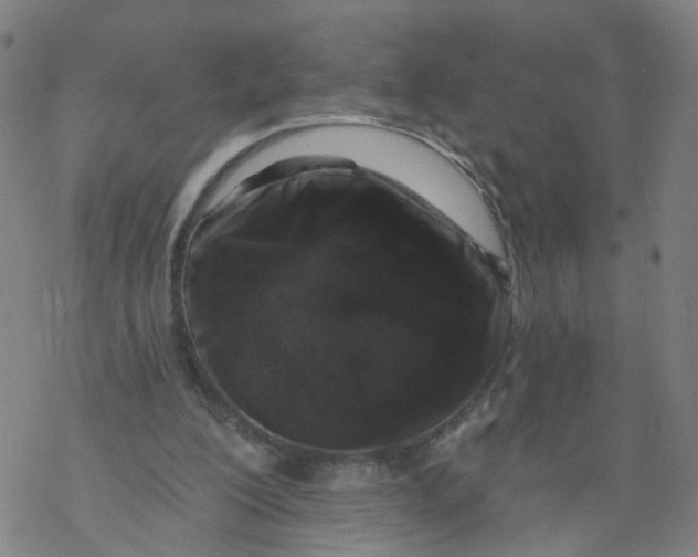 X0000068890200200605261854