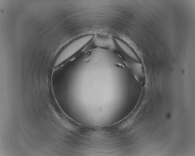 X0000068890201200605261854