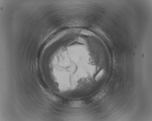 X0000068890202200605261854