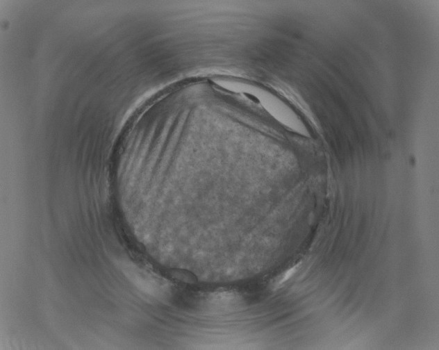 X0000068890204200605261854