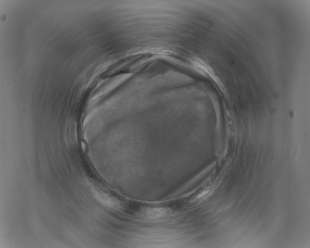 X0000068890205200605261854