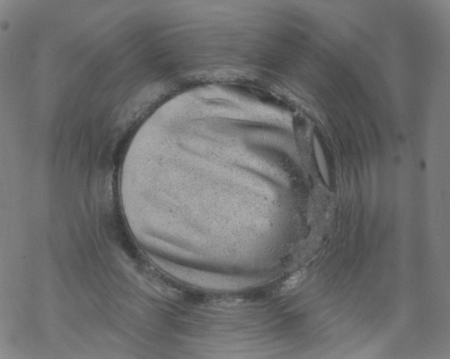 X0000068890206200605261854