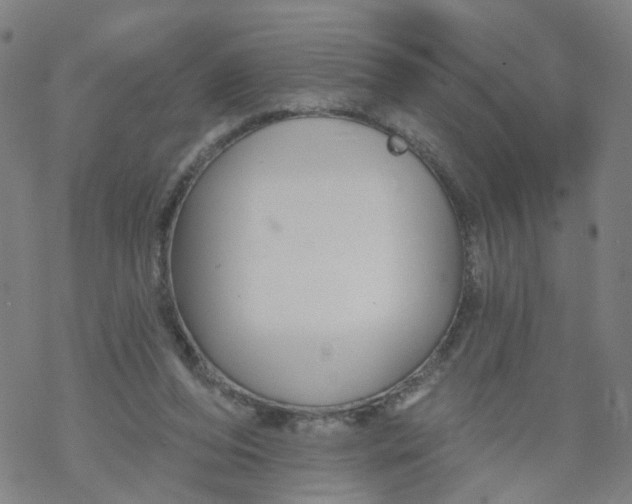 X0000068890208200605261854