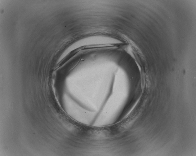 X0000068890209200605261854