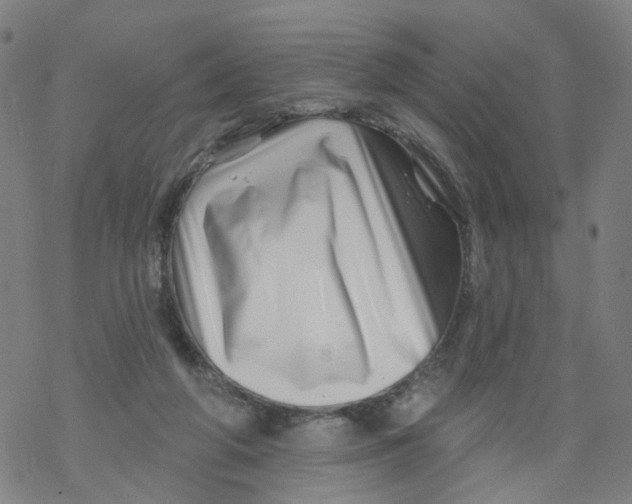 X0000068890210200605261854