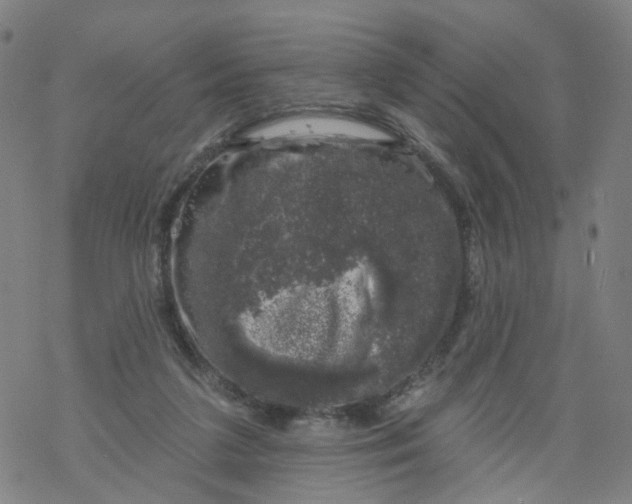 X0000068890211200605261854