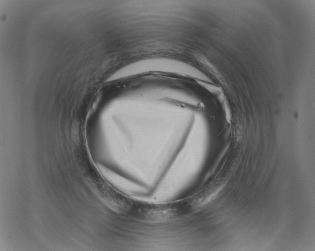 X0000068890213200605261854