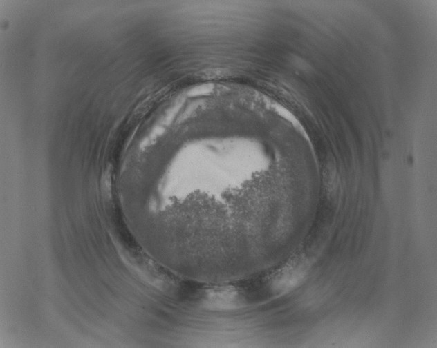 X0000068890214200605261854