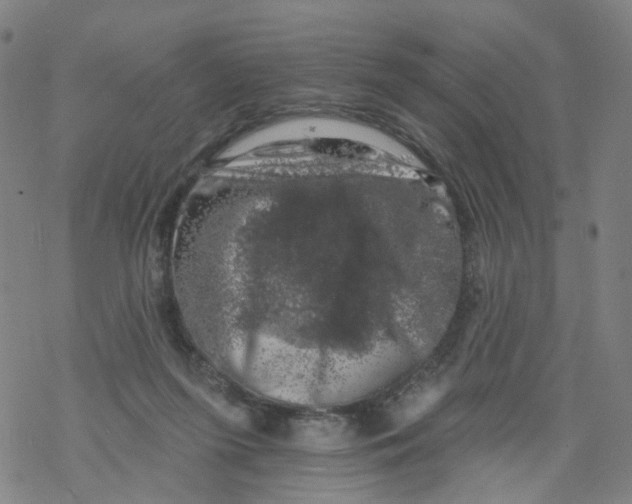 X0000068890215200605261854