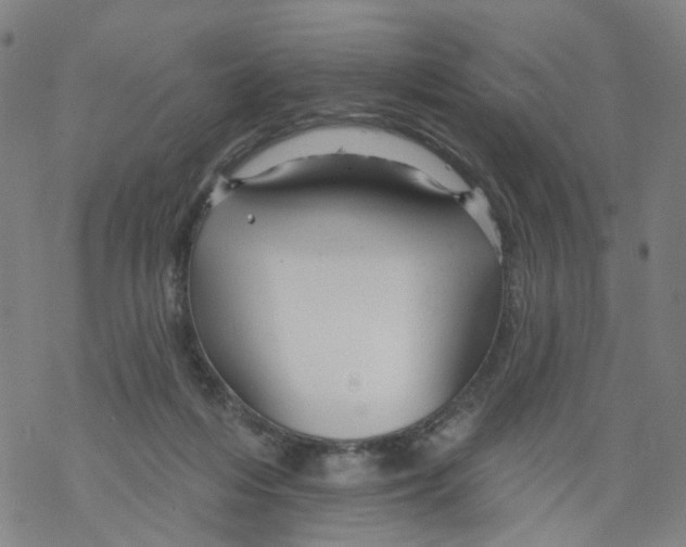 X0000068890216200605261854