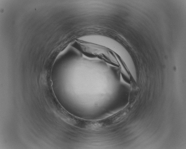 X0000068890217200605261854