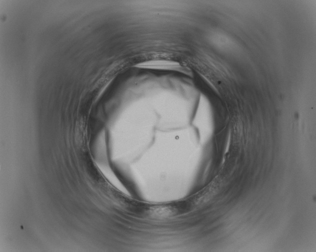 X0000068890218200605261854