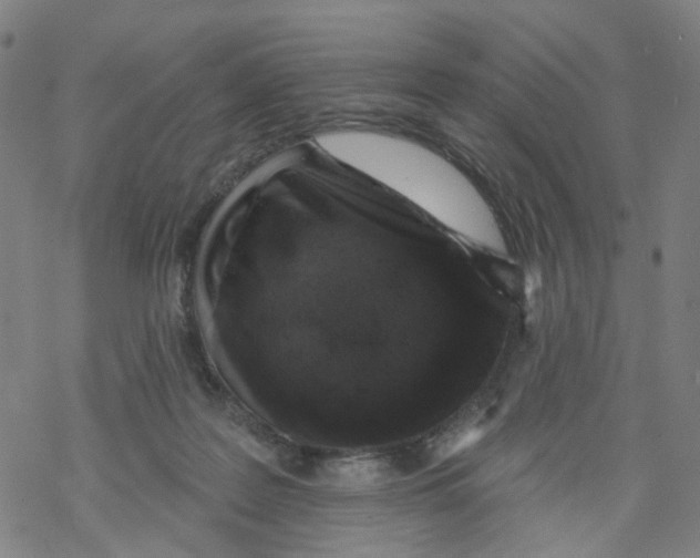 X0000068890219200605261854