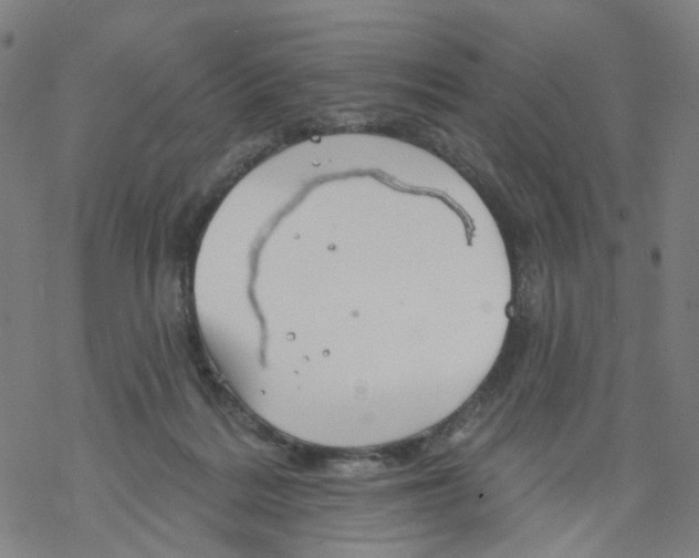 X0000068890220200605261854