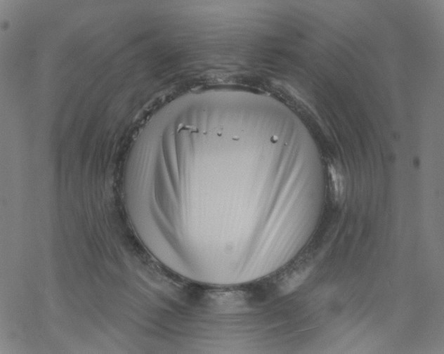 X0000068890221200605261854