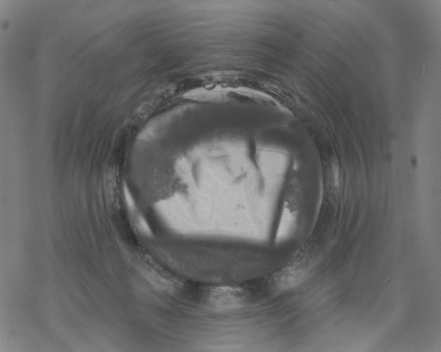 X0000068890222200605261854