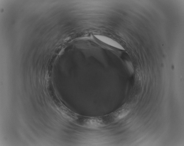 X0000068890223200605261854